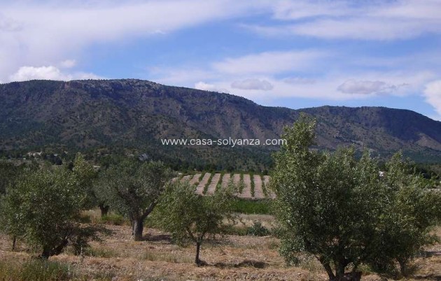Resale - Country Property/Finca - Salinas - Inland