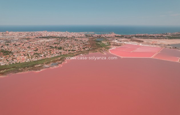 Nouvelle construction - Bungalow - Torrevieja