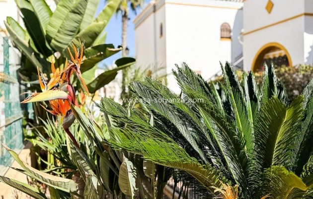 Reventa - town_house - Torrevieja - La Mata