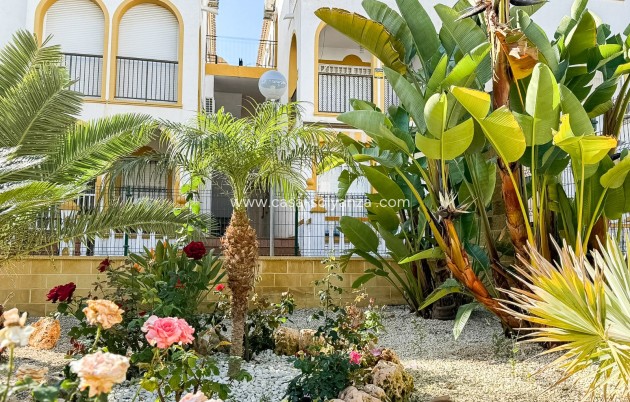 Reventa - town_house - Torrevieja - La Mata