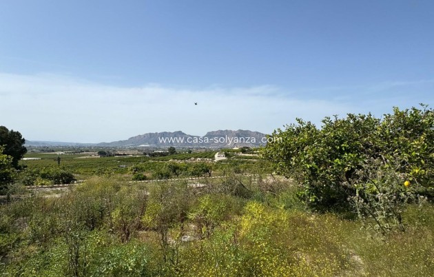 Reventa - Country Property/Finca - Orihuela - Arneva