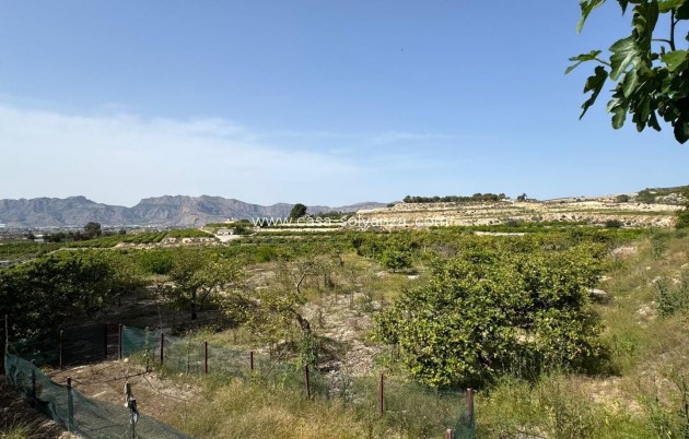 Reventa - Country Property/Finca - Orihuela - Arneva