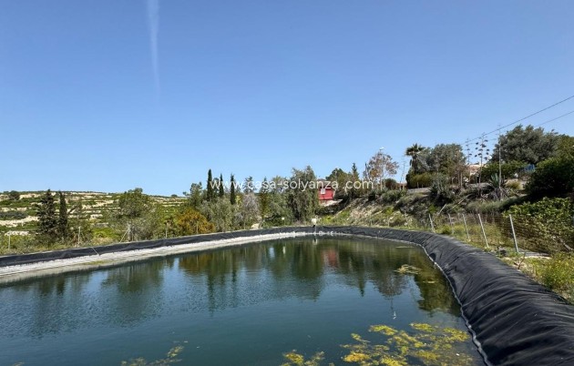 Reventa - Country Property/Finca - Orihuela - Arneva