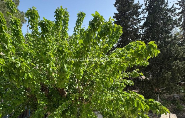 Reventa - Country Property/Finca - Orihuela - Arneva