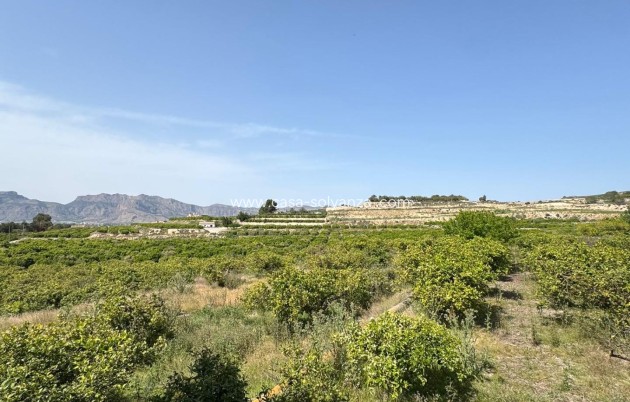 Reventa - Country Property/Finca - Orihuela - Arneva