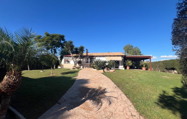 Reventa - Country Property/Finca - Dolores - Comunidad Valenciana
