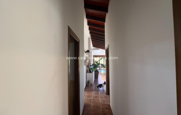 Reventa - Country Property/Finca - Dolores - Comunidad Valenciana