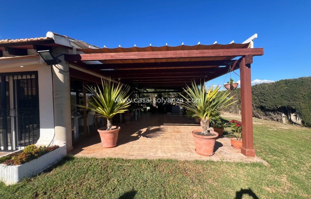Reventa - Country Property/Finca - Dolores - Comunidad Valenciana
