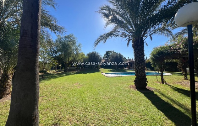 Reventa - Country Property/Finca - Dolores - Comunidad Valenciana