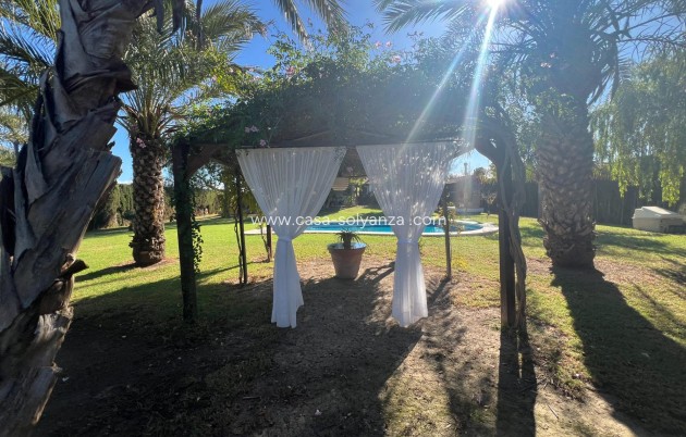 Reventa - Country Property/Finca - Dolores - Comunidad Valenciana