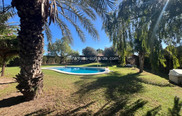 Reventa - Country Property/Finca - Dolores - Comunidad Valenciana
