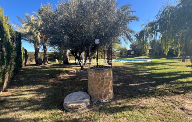 Reventa - Country Property/Finca - Dolores - Comunidad Valenciana