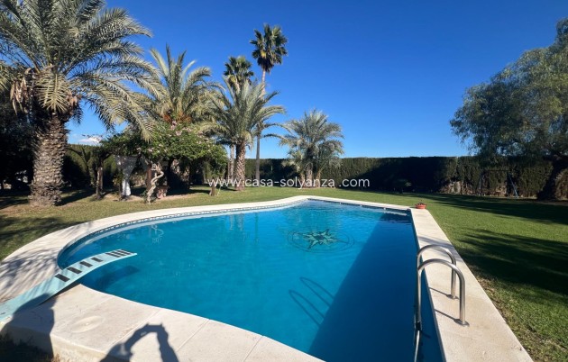 Reventa - Country Property/Finca - Dolores - Comunidad Valenciana