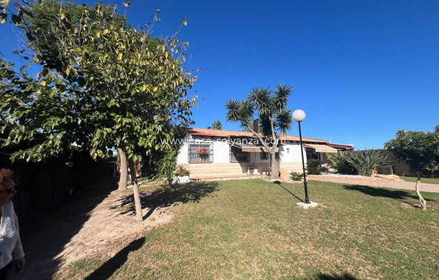 Reventa - Country Property/Finca - Dolores - Comunidad Valenciana
