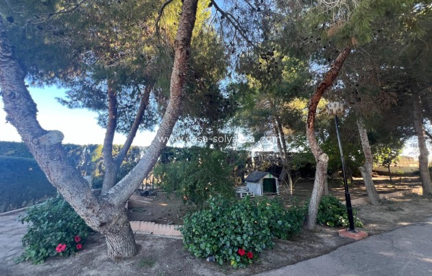 Reventa - Country Property/Finca - Dolores - Comunidad Valenciana