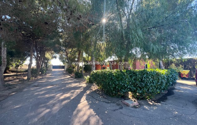 Reventa - Country Property/Finca - Dolores - Comunidad Valenciana