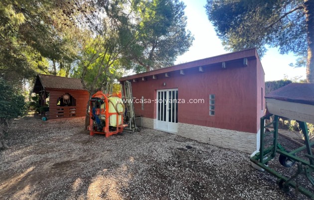 Reventa - Country Property/Finca - Dolores - Comunidad Valenciana