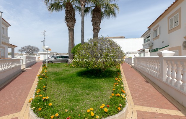 Reventa - Apartamento / piso - Playa Flamenca - Zenia Mar