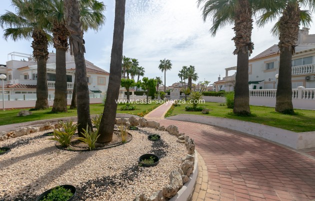 Reventa - Apartamento / piso - Playa Flamenca - Zenia Mar