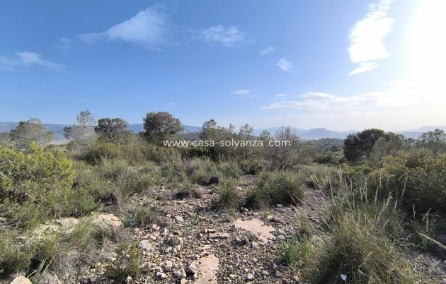 Resale - Land - Yecla - Inland