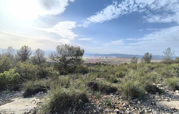 Resale - Land - Yecla - Inland
