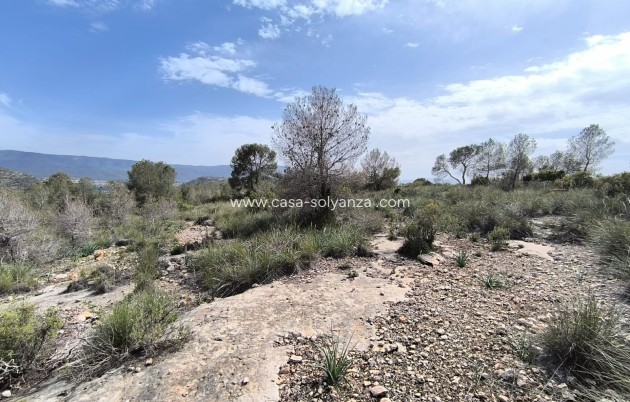 Resale - Land - Yecla - Inland