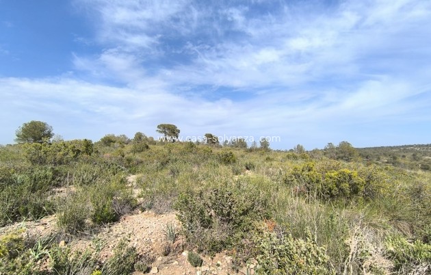 Resale - Land - Yecla - Inland