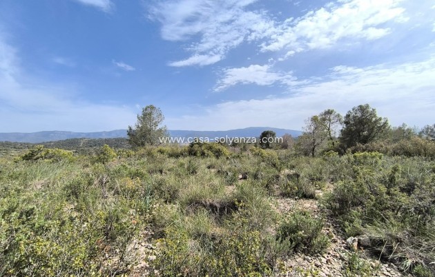 Resale - Land - Yecla - Inland