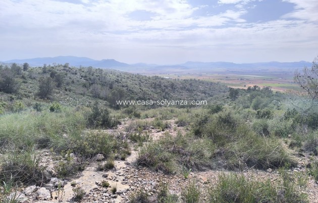 Resale - Land - Yecla - Inland
