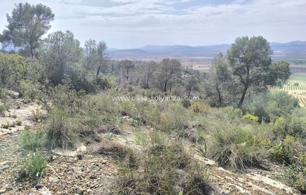 Resale - Land - Yecla - Inland