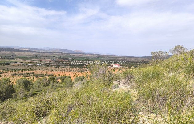 Resale - Land - Yecla - Inland