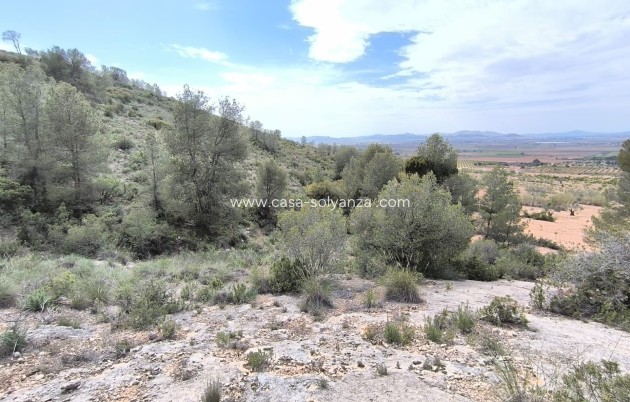 Resale - Land - Yecla - Inland