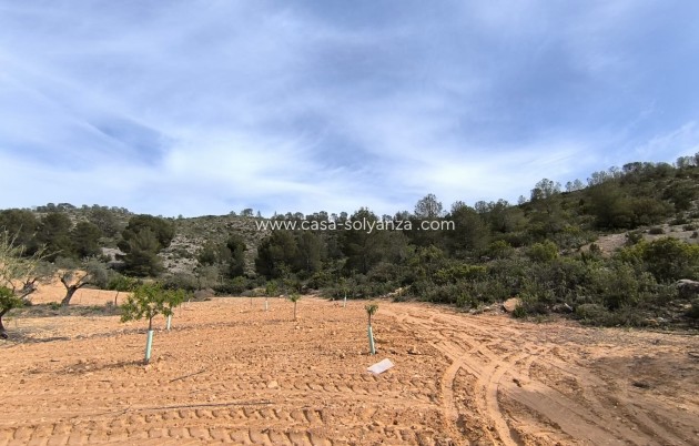 Resale - Land - Yecla - Inland