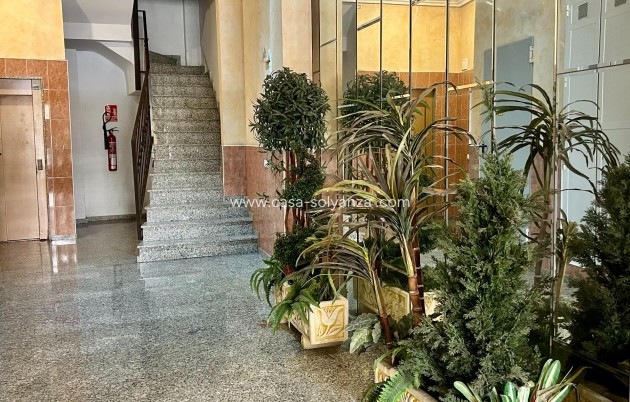 Reventa - Apartamento / piso - Torrevieja - Center