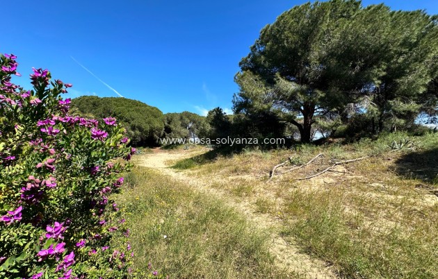 Resale - Townhouse - Guardamar del Segura - Costa Blanca