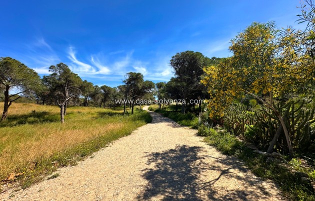 Resale - Townhouse - Guardamar del Segura - Costa Blanca