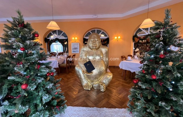 Resale - Other - Ciudad Quesada - Lo Pepin