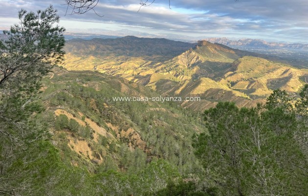 Resale - Country Property/Finca - Gea Y Truyols - Inland