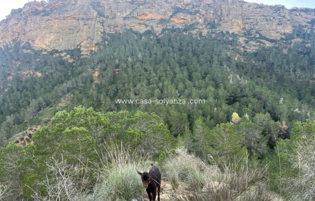 Resale - Country Property/Finca - Gea Y Truyols - Inland