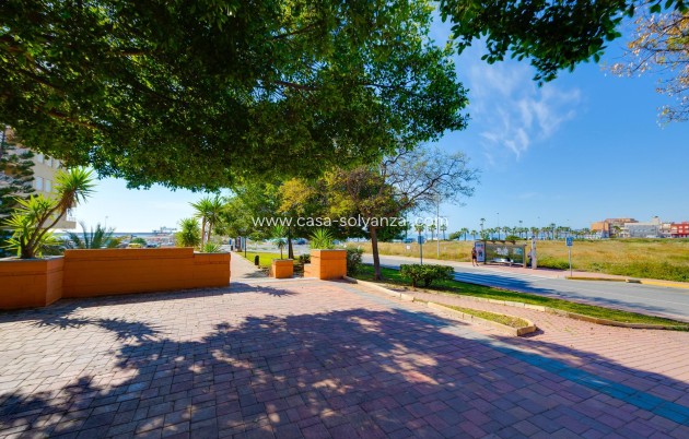 Wiederverkauf - Wohnung - Torrevieja - Acequion