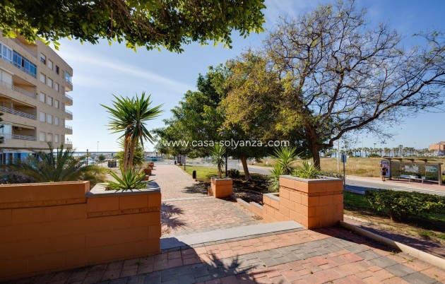 Wiederverkauf - Wohnung - Torrevieja - Acequion