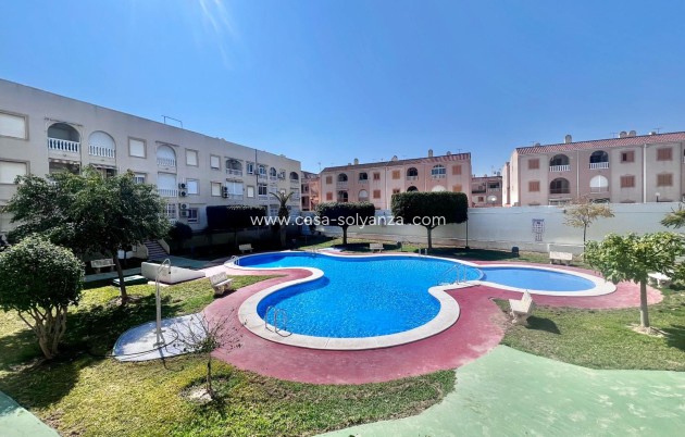 Resale - Apartment / flat - Torrevieja - Acequion