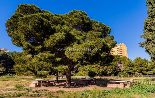 Resale - Apartment / flat - Dehesa De Campoamor - Costa Blanca