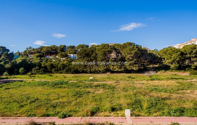 Resale - Apartment / flat - Dehesa De Campoamor - Costa Blanca