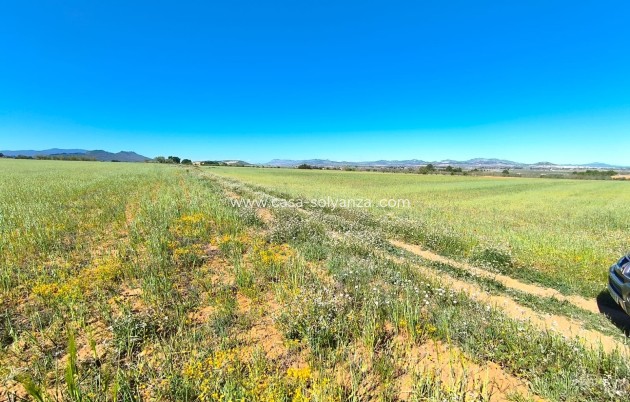 Herverkoop - Land - Yecla - Inland
