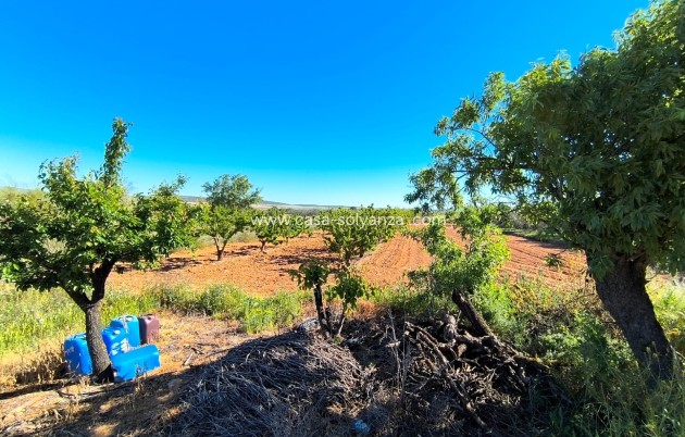 Resale - Country Property/Finca - Yecla - Inland