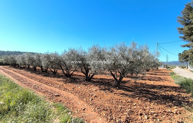 Resale - Country Property/Finca - Yecla - Inland