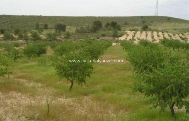 Herverkoop - Land - Abanilla - Cañada Del Trigo