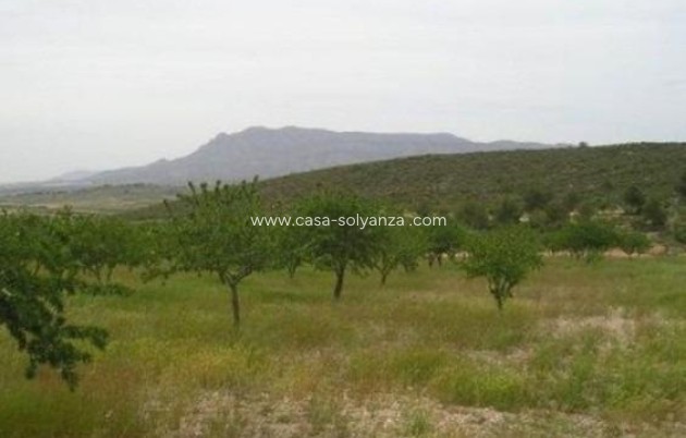 Herverkoop - Land - Abanilla - Cañada Del Trigo
