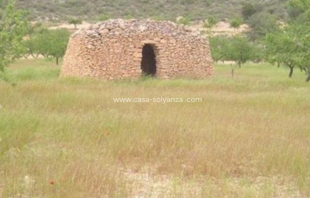 Herverkoop - Land - Abanilla - Cañada Del Trigo